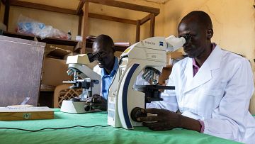 World Health Organization scoping review calls for urgent action to tackle the impact of climate change on malaria and neglected tropical diseases 